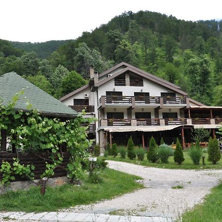 Pensiunea Valahia Brezoi Exterior photo