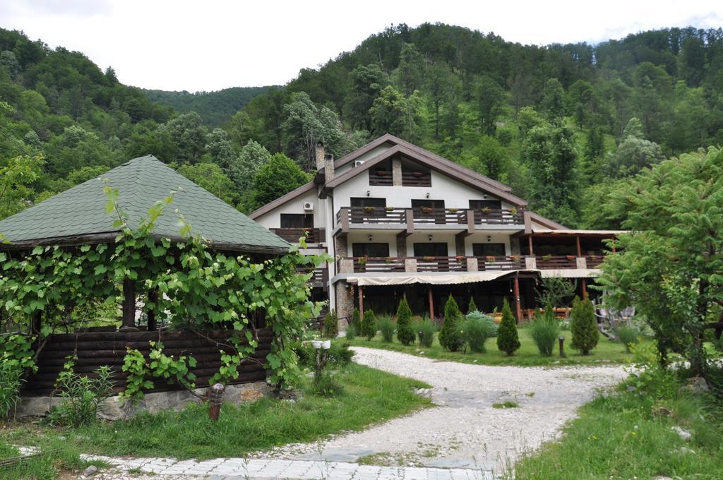 Pensiunea Valahia Brezoi Exterior photo